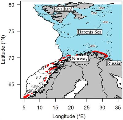 Assessing the patchiness of early life stage of a fish stock (Gadus morhua) and its contribution to the stock recruitment
